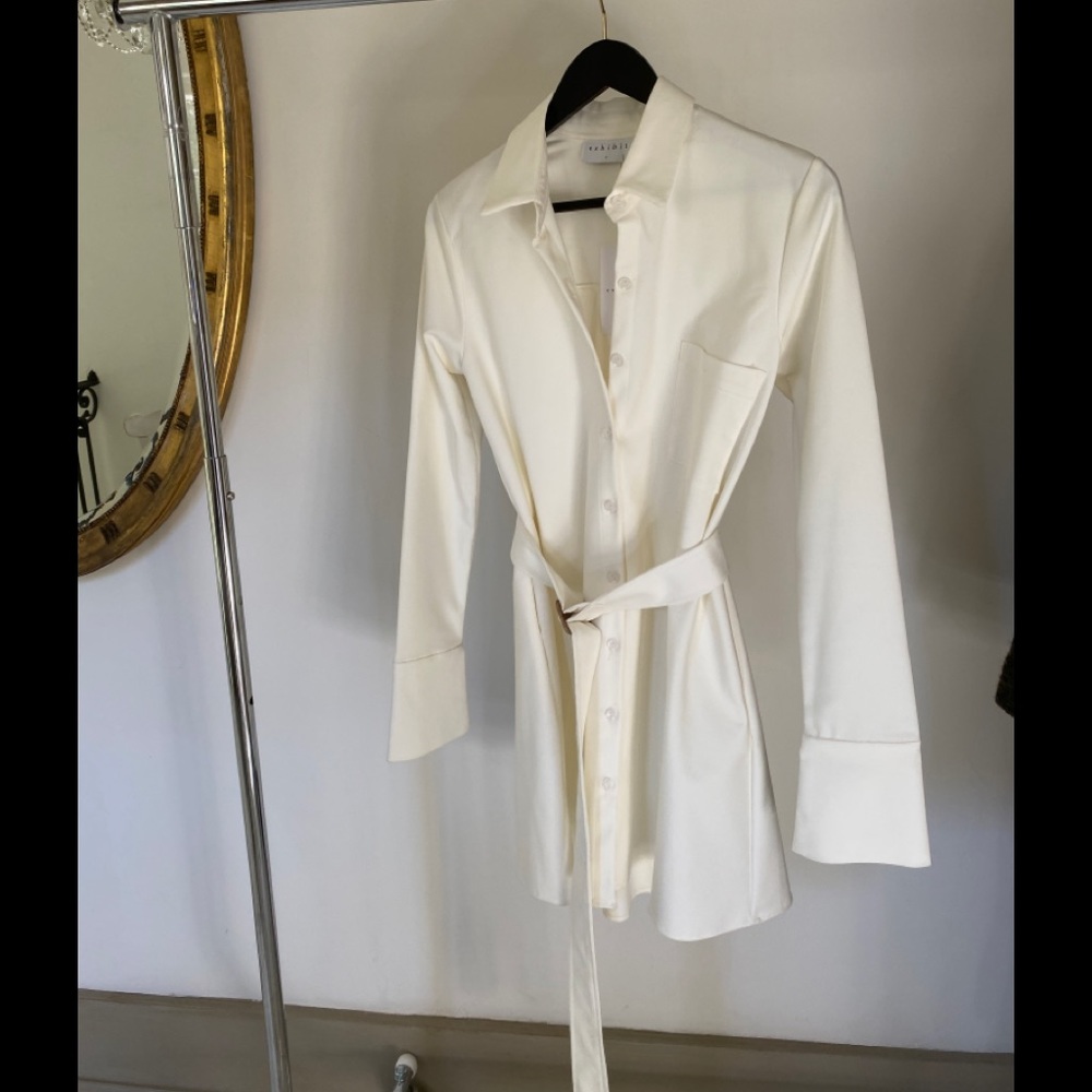 Exhibit shirt dress